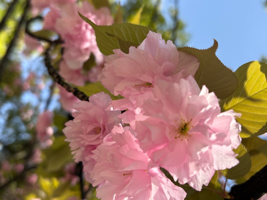 次元移行＝すべてが自動的に解決する・・・わけではない